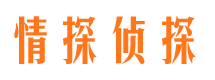 保靖市调查公司